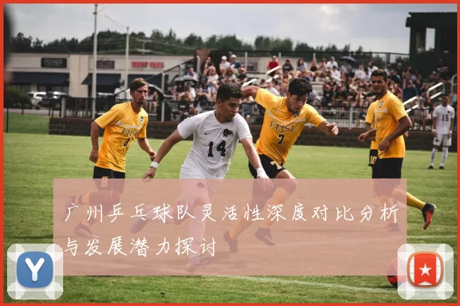 广州乒乓球队灵活性深度对比分析与发展潜力探讨