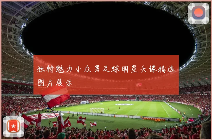 独特魅力小众男足球明星头像精选图片展示