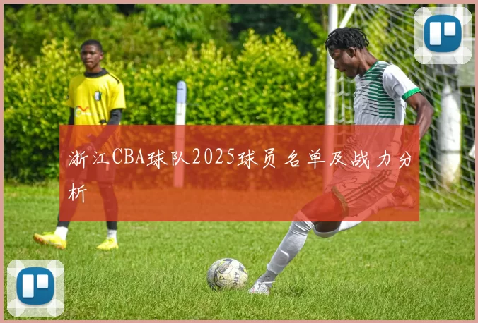 浙江CBA球队2025球员名单及战力分析