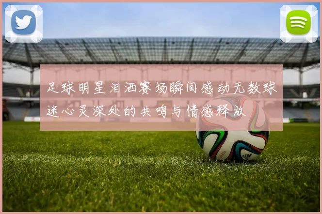 足球明星泪洒赛场瞬间感动无数球迷心灵深处的共鸣与情感释放
