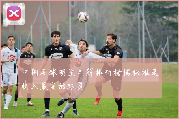 中国足球明星年薪排行榜揭秘谁是收入最高的球员