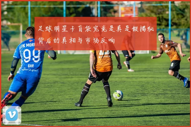 足球明星卡盲袋究竟是真是假揭秘背后的真相与市场反响