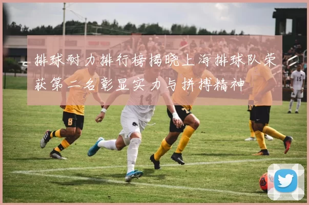 排球耐力排行榜揭晓上海排球队荣获第二名彰显实力与拼搏精神