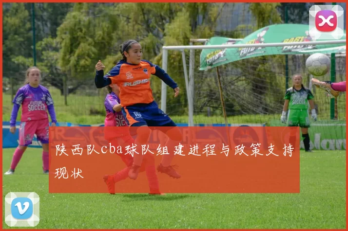 陕西队cba球队组建进程与政策支持现状