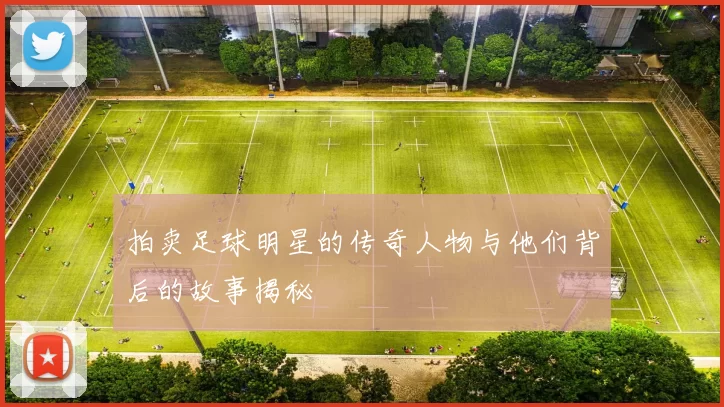 拍卖足球明星的传奇人物与他们背后的故事揭秘