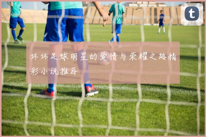 坏坏足球明星的爱情与荣耀之路精彩小说推荐