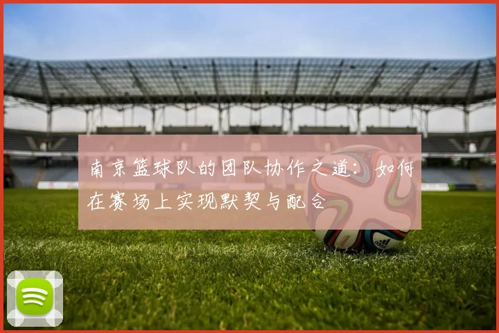 南京篮球队的团队协作之道：如何在赛场上实现默契与配合