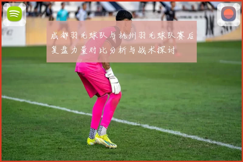 成都羽毛球队与杭州羽毛球队赛后复盘力量对比分析与战术探讨