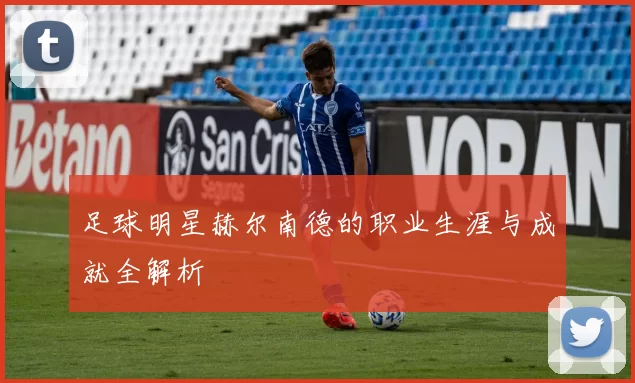 足球明星赫尔南德的职业生涯与成就全解析