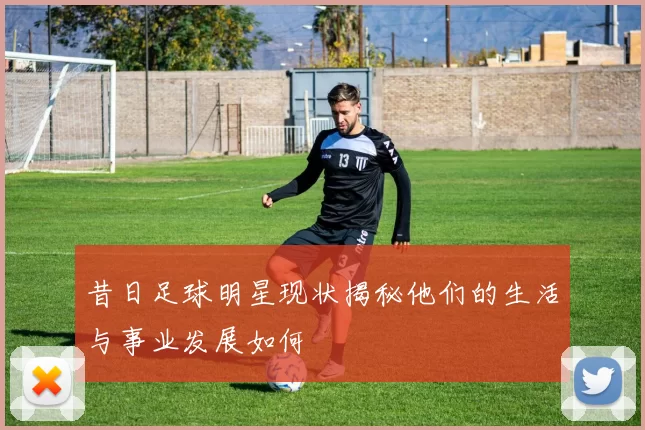 昔日足球明星现状揭秘他们的生活与事业发展如何