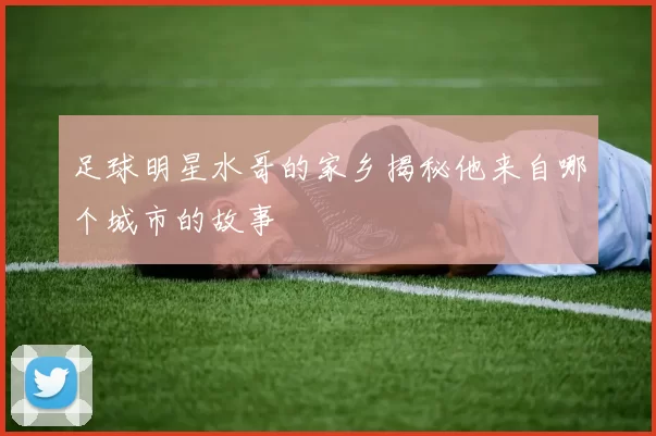 足球明星水哥的家乡揭秘他来自哪个城市的故事
