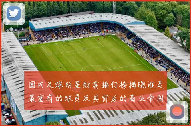 国内足球明星财富排行榜揭晓谁是最富有的球员及其背后的商业帝国