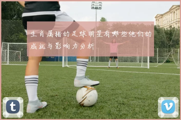 生肖属猪的足球明星有哪些他们的成就与影响力分析
