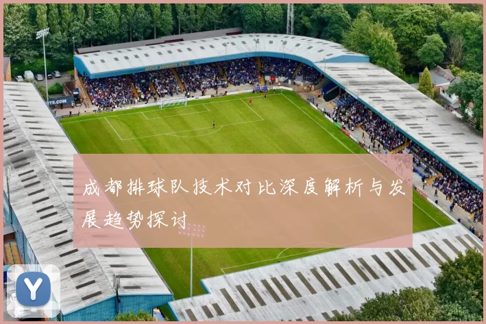 成都排球队技术对比深度解析与发展趋势探讨