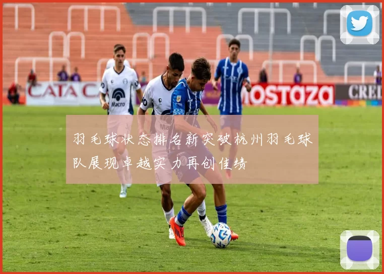 羽毛球状态排名新突破杭州羽毛球队展现卓越实力再创佳绩