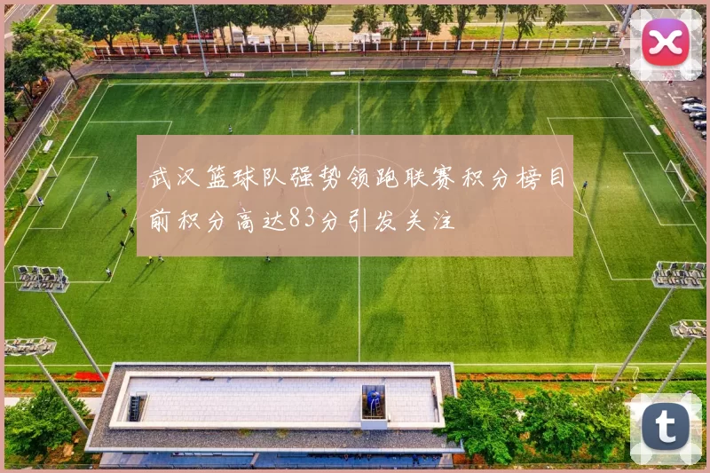 武汉篮球队强势领跑联赛积分榜目前积分高达83分引发关注