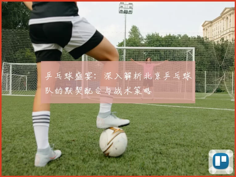 乒乓球盛宴：深入解析北京乒乓球队的默契配合与战术策略