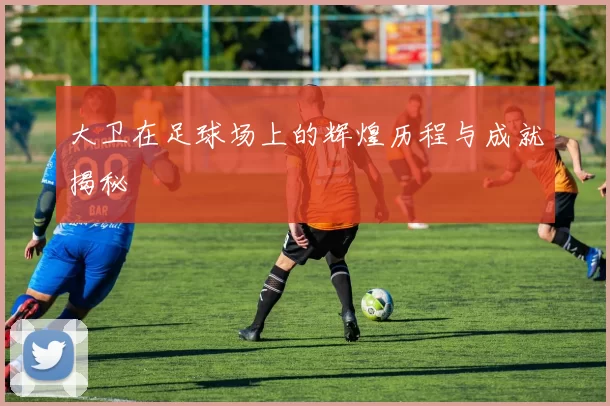 大卫在足球场上的辉煌历程与成就揭秘