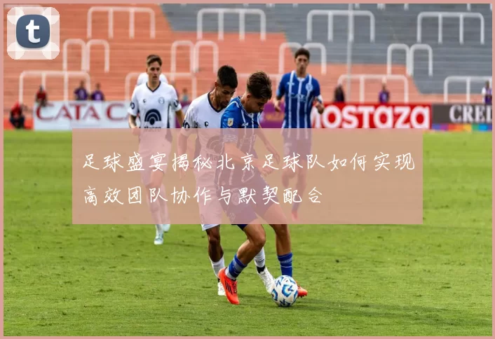 足球盛宴揭秘北京足球队如何实现高效团队协作与默契配合