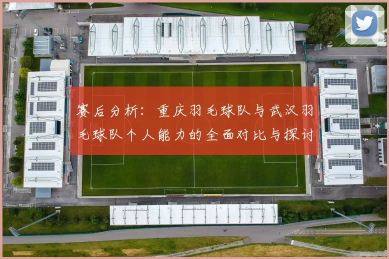 赛后分析：重庆羽毛球队与武汉羽毛球队个人能力的全面对比与探讨