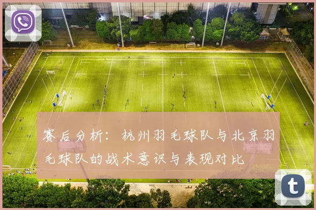 赛后分析：杭州羽毛球队与北京羽毛球队的战术意识与表现对比